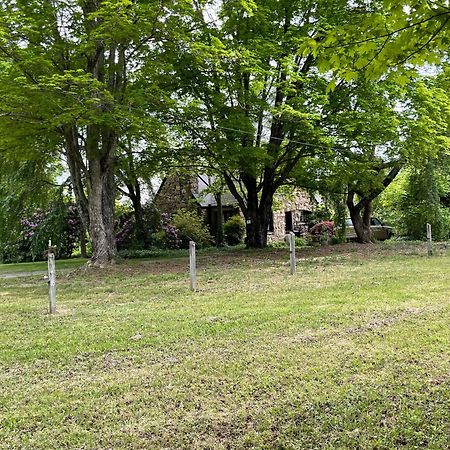 Asheville Urban Farmhouse Entire Home 4 Mi To Dt 외부 사진