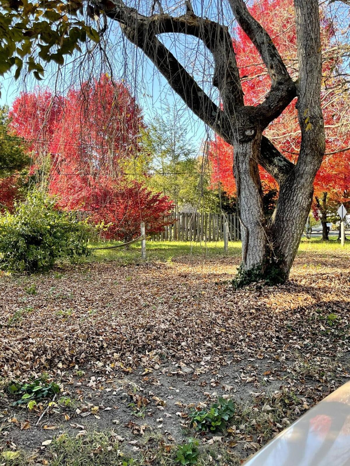 Asheville Urban Farmhouse Entire Home 4 Mi To Dt 외부 사진