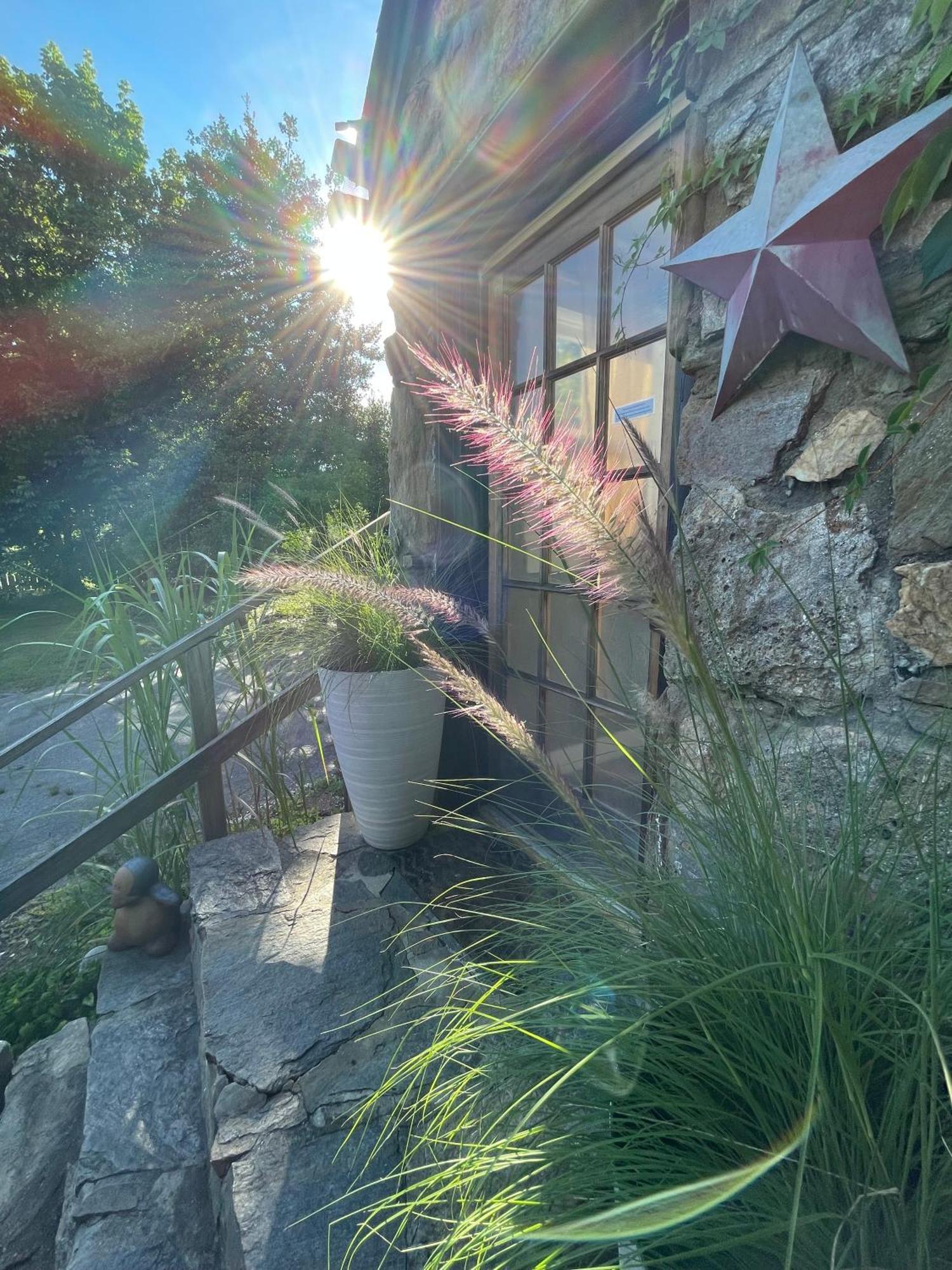 Asheville Urban Farmhouse Entire Home 4 Mi To Dt 외부 사진
